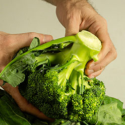 gastronomia